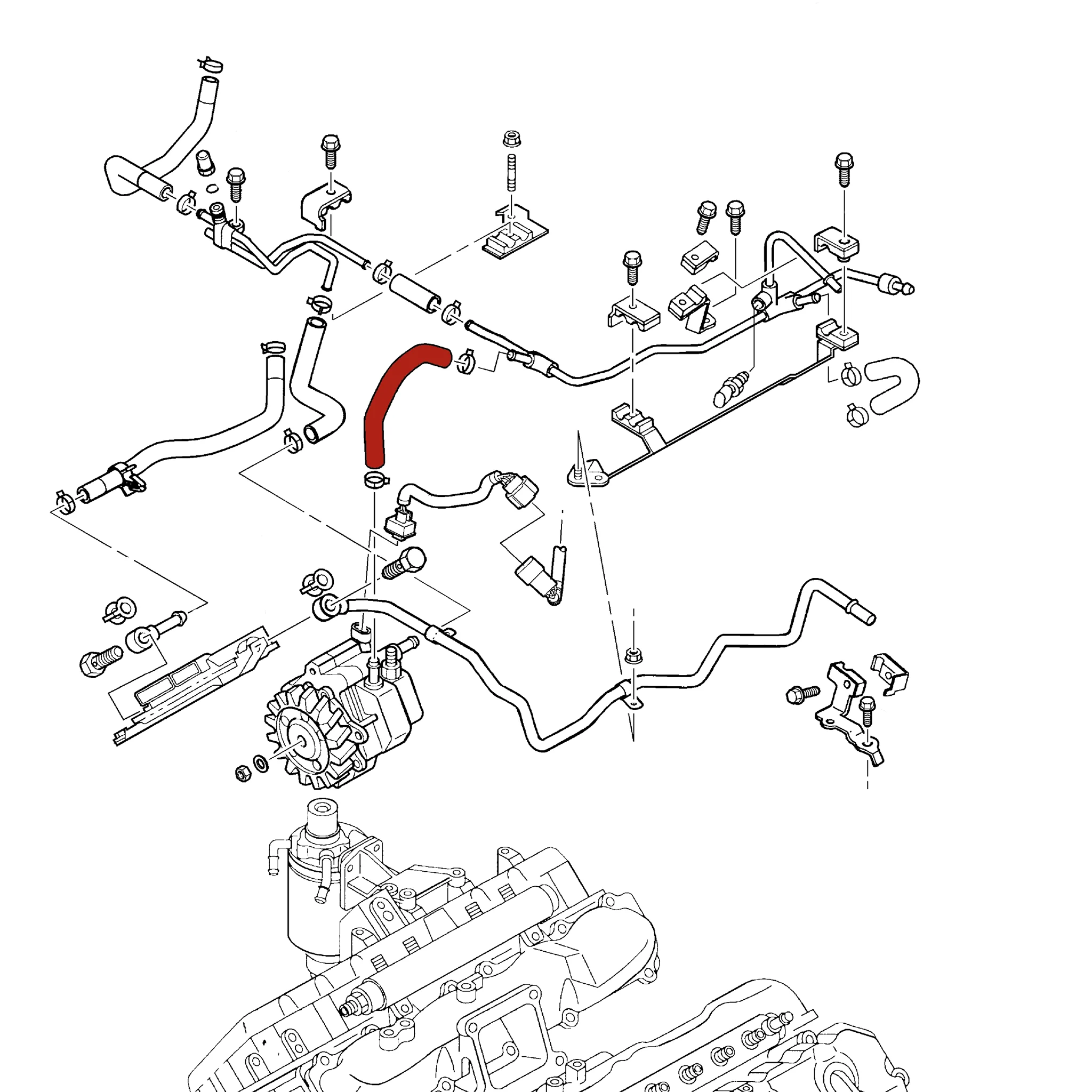 DmaxStore CP3 Injection Pump Return Hose, 2004.5-2005 LLY - Image 2