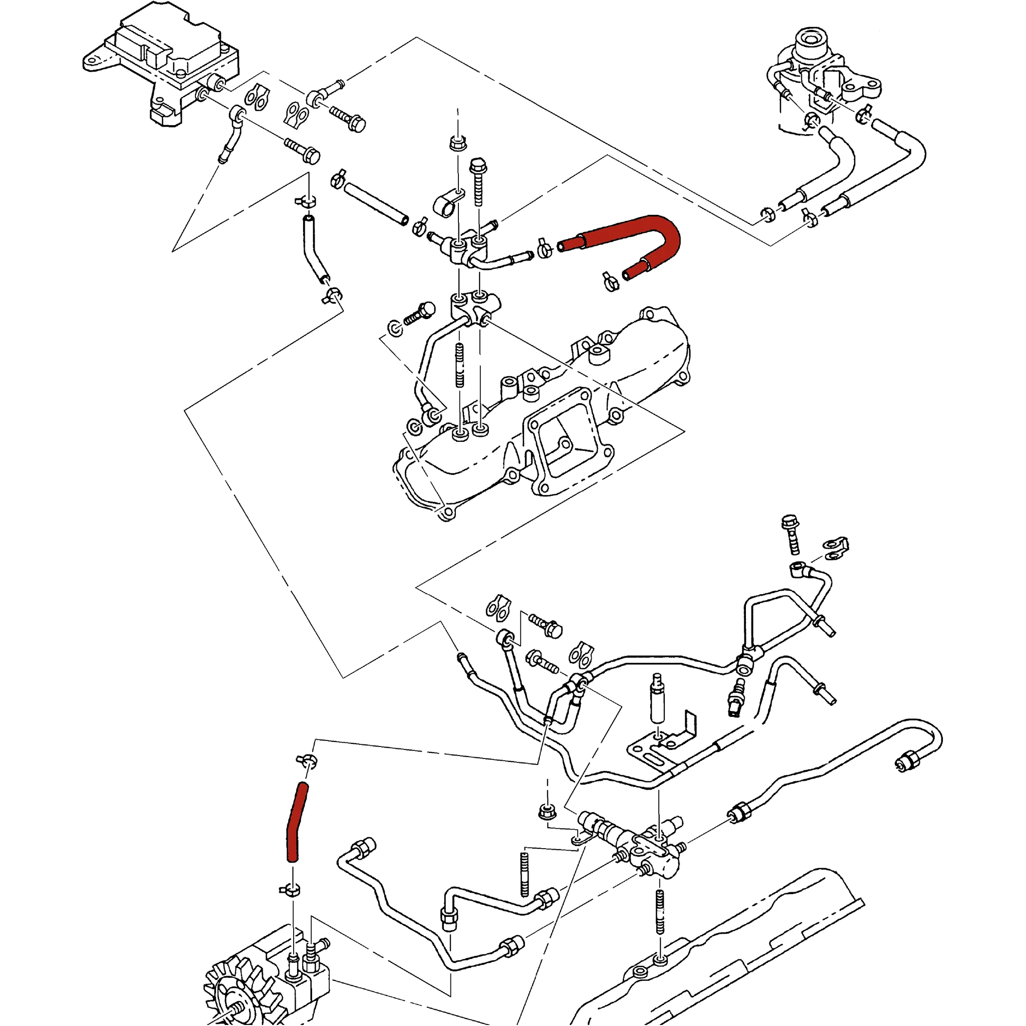 DmaxStore CP3 Injection Pump Hose Kit, 2001-2004 LB7 - Image 9