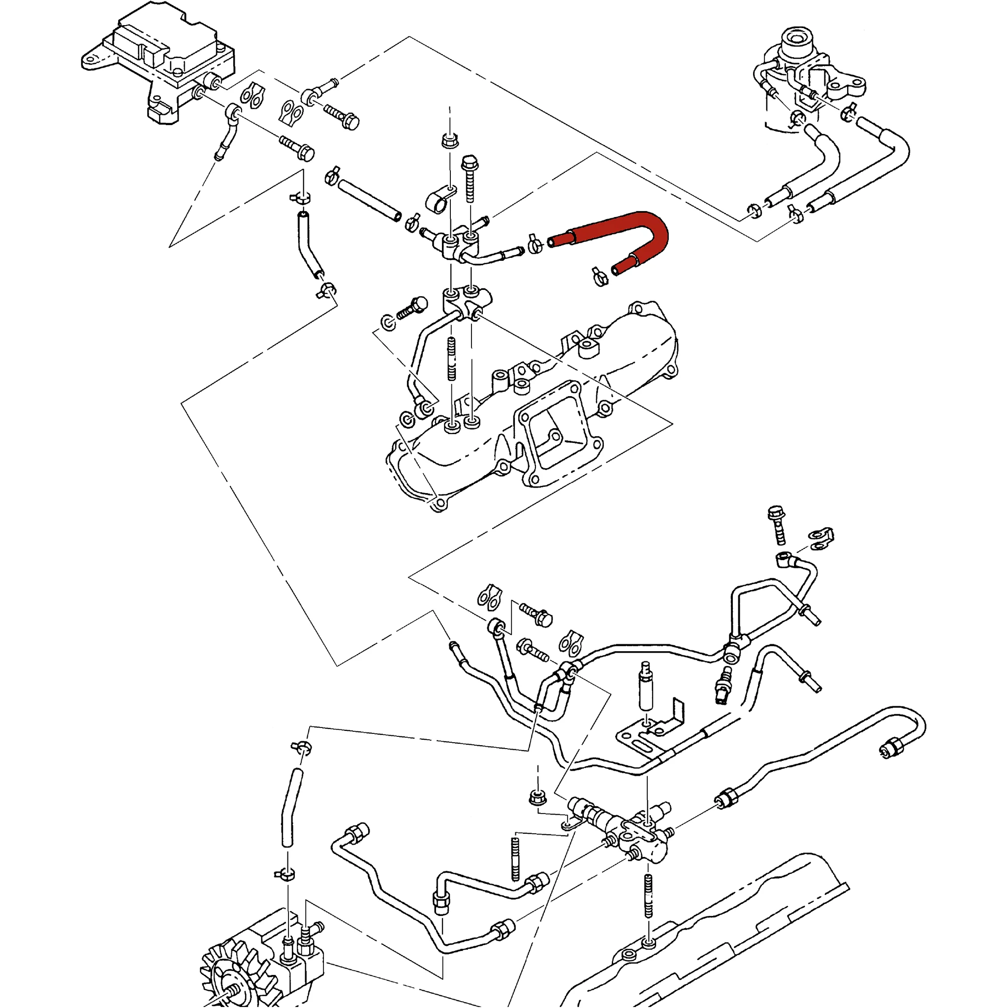 DmaxStore CP3 Injection Pump Feed Hose, 2001-2004 LB7 - Image 2
