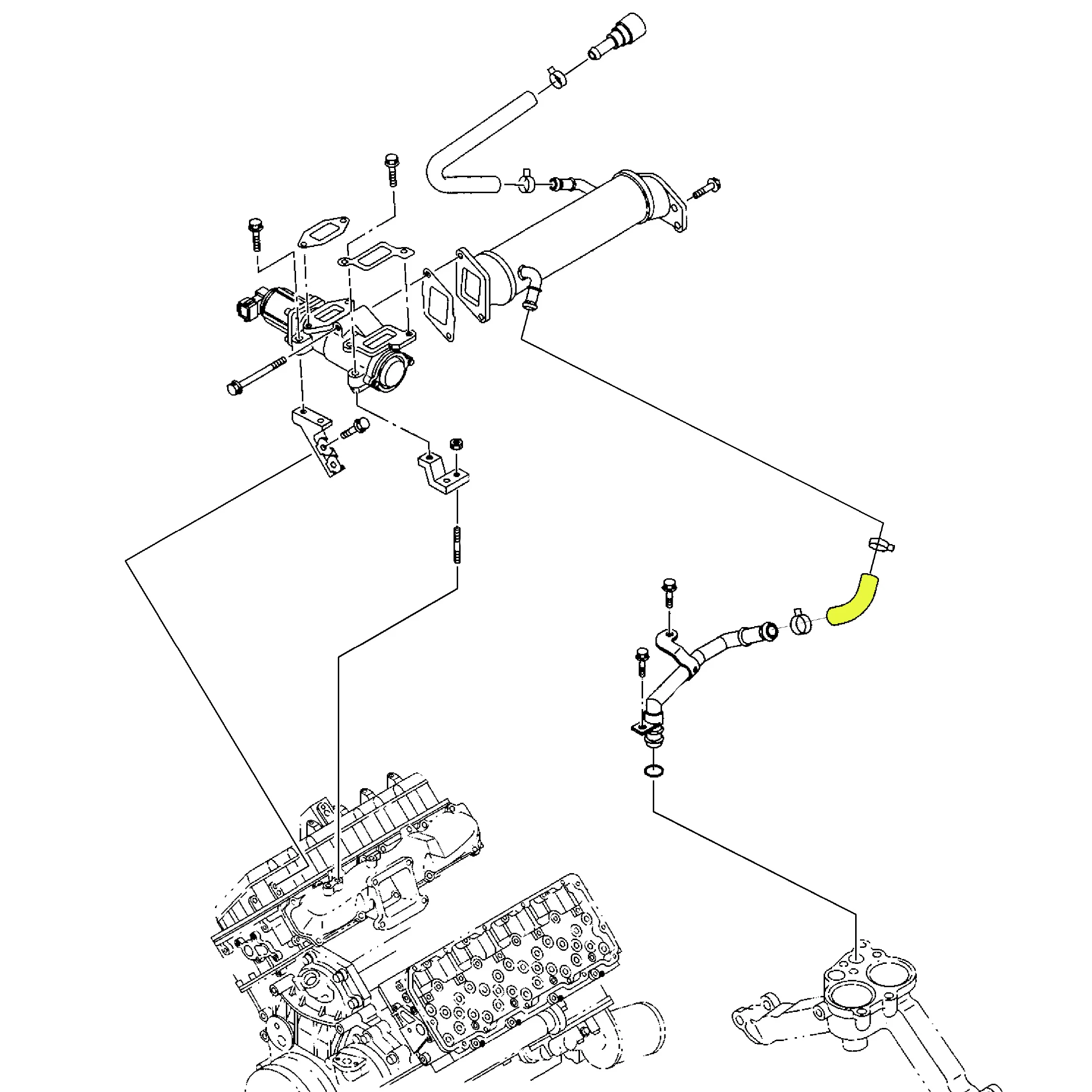 EGR Cooler to Thermostat Housing Hose, 2004.5-2005 LLY - Image 5