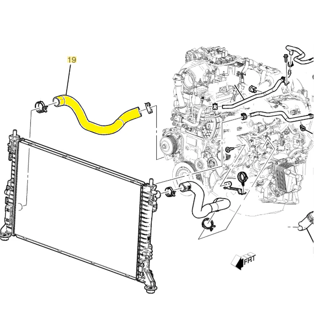 GM Lower Radiator Hose, 2020-2026 LM2/LZ0 - Image 3